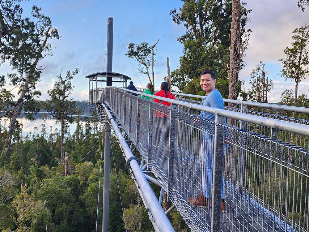 Guided treetop walkway in Hokitika NZ